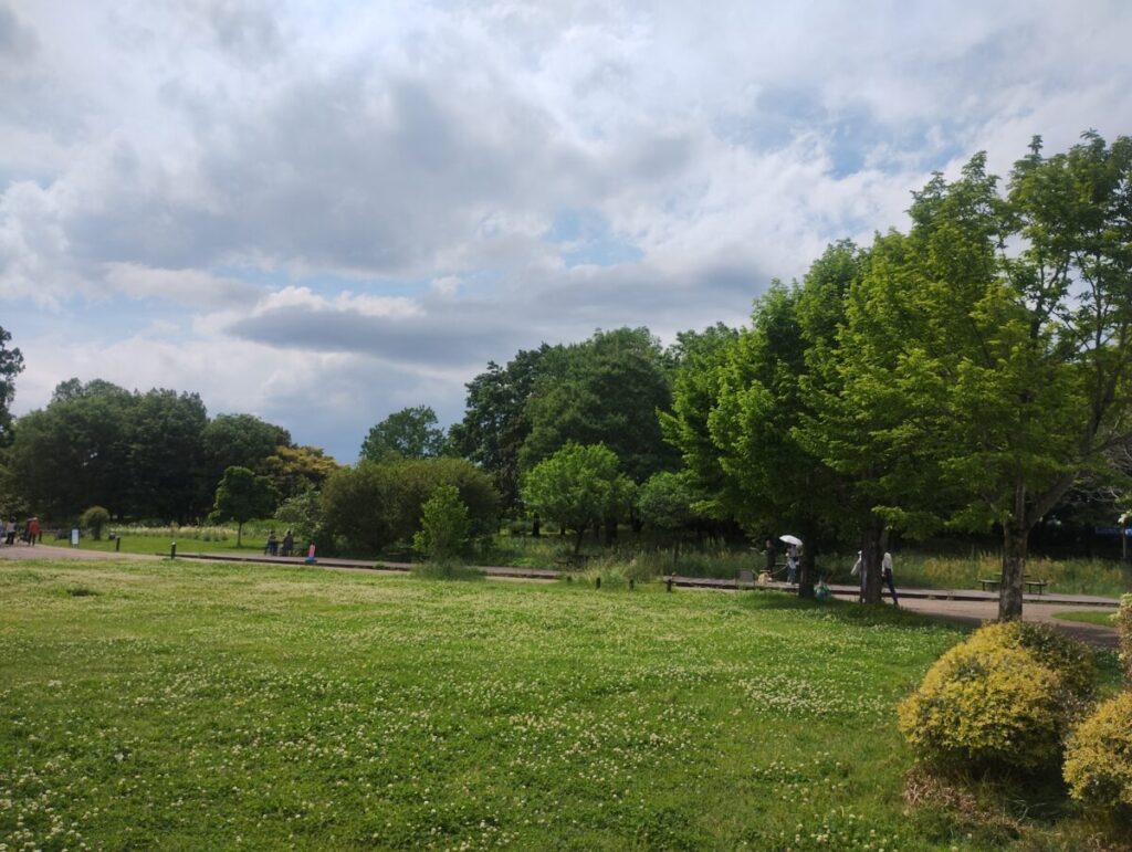 「新緑の公園と広がる空