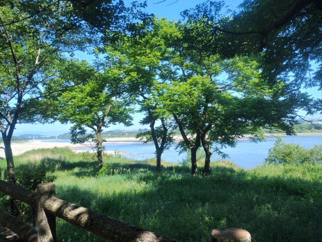 一人の時間を過ごした木曽川沿いの穏やかな風景